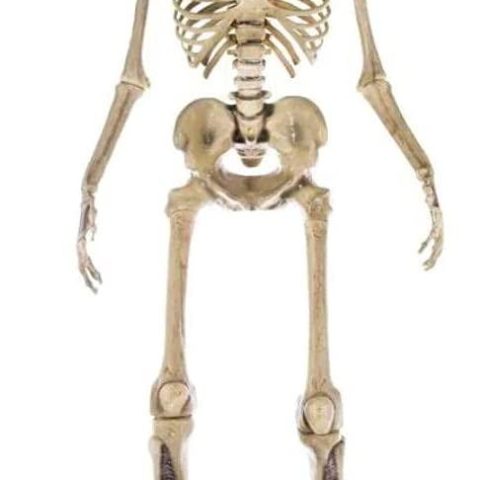 Home Accents 12 ft. Giant-Sized Skeleton with LifeEyes